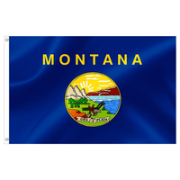 Drapeaux de l'État du Mississippi 3x5FT en polyester avec œillets métalliques pour fêtes, défilés, événements sportifs, décorations extérieures