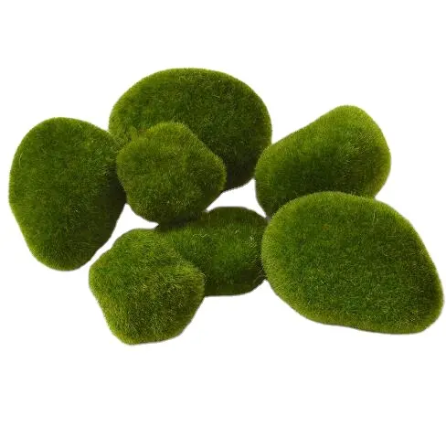 자연적인 이끼 돌, 꽃 남비를 위한 녹색 부유물 돌