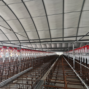 PH Large Capacity Industrial Automatic Gestation Stall Pen Pig Feed Line System | Hog <b>Farm</b> Livestock Conveyor Feeding Equipment - Product Image 3