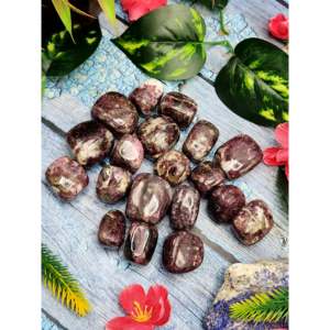 Rubellite Tumbles - Emprende un viaje de pasión y empoderamiento - Lote de 19 piezas - Product Image 1