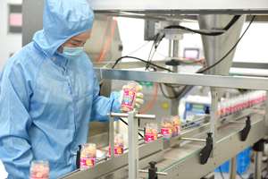 Gomitas de Complejo de Pectina y Hongos de Marca Privada OEM/ODM, Suplemento Integral para la Concentración Cerebral, el Estado de Ánimo, Adultos y Mujeres Embarazadas - Product Image 6