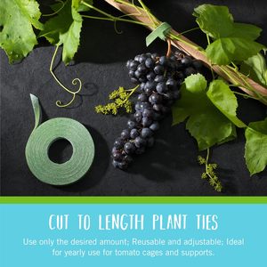 适用于品牌可调植物领带 | 75英尺X 1/<span class=keywords><strong>2</strong></span>绿色花园胶带 | 可重复使用的剪长钩环植物支架环保 - Product Image 3