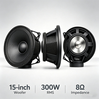Haut-parleur professionnel AG 15'' avec woofer, accessoires, alliage néodyme-titane, médium-grave pour sonorisation PA, ligne de baffles, scène extérieure - Subwoofer 15 pouces