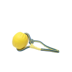 Juguete flotante de espuma <span class=keywords><strong>Eva</strong></span>, juguetes masticables al por mayor para entrenamiento de perros, juguete interactivo para mascotas de alta calidad - Product Image 1
