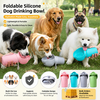 Nouveau produit transfrontalier : Gamelle et abreuvoir pliables en silicone pour chien, idéales pour les voyages en extérieur