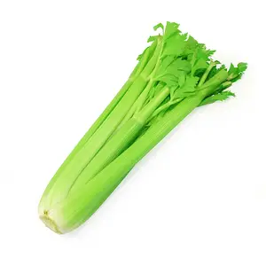 Fresh China Vegetables Nutritious Fresh Green Celery