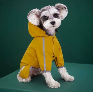 Veste de pluie pour petit chien pour toutes les saisons, imperméable réfléchissant avec capuche pour <span class=keywords><strong>Teddy</strong></span>, Bichon, chiot - Product Image 4