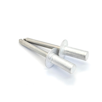 Rivets aveugles à extrémité fermée personnalisables de haute qualité, multi-styles, à tête dôme, en aluminium et acier inoxydable, avec gamme de mandrins de préhension – Vente chaude