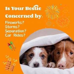 Logo personnalisé nourriture pour animaux de compagnie nutrition os doux forme chat calmant collations nourriture douce à mâcher calme et détendre supplément pour animaux de compagnie - Product Image 6