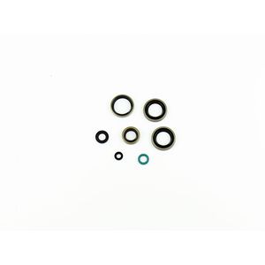 Kit de juntas de aceite - Product Image 1