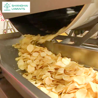 Equipo Automático de Alta Eficiencia para la Elaboración de Papas Fritas con Certificación ASME, Línea de Procesamiento de Alimentos para Fábricas de Alimentos Comerciales