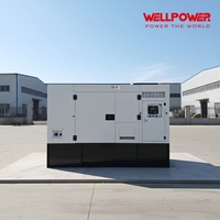 Fabricante de Grupos Electrógenos Diésel, Generador Diésel Super Silencioso Stamford de 50 Kva