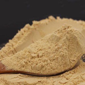 Siberian Ginseng Root <strong>Extract</strong> <strong>Powder</strong> 1%-80% Ginsenosides UV Tested Drum Packaging - Product Image 4