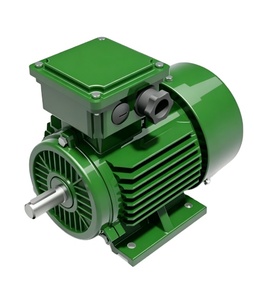 มอเตอร์ Weg รุ่น w21 4p 15KW 20HP ป้องกันการระเบิด 380V 400V 1500RPM มอเตอร์เหนี่ยวนำแบบไร้แปรงถ่าน AC 3 เฟส - Product Image 4