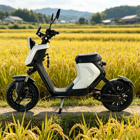 Sepeda Listrik 1500W Brushless 60/72V 20Ah Baterai Lithium 60km/jam Rem Cakram Ganda Suspensi Hidrolik untuk Wanita Pria