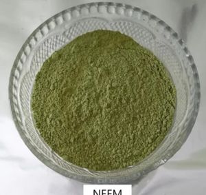 Polvo de Hojas de Neem Natural, Polvo Herbal Seco de Textura Fina, Ingrediente a Base de Plantas, Forma Pura y Cruda, Producto Herbal de Uso Diario - Product Image 3