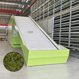 เครื่องอบแห้งสาหร่ายแบบสายพานตาข่ายประสิทธิภาพสูง เครื่องอบแห้งสาหร่ายซาร์กัสซัม เครื่องอบแห้งสาหร่ายกัลฟ์วีดแบบสายพานตาข่าย - Product Image 1
