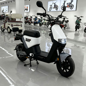 Electrodoméstico Unisex de Alta Calidad, Superventas en Brasil, Motor sin Escobillas de 1000W, Pantalla LCD, Marco Ligero de Acero - Product Image 2