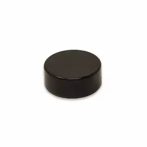 N35-N52 Grade Sintered Neodymium Black Epoxy Coated Disc Round Rare Earth Magnet