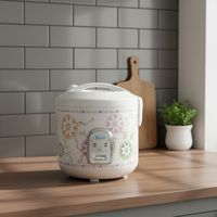 Cuisinière à riz électrique multifonction 1,1-2L, revêtement antiadhésif, acier inoxydable, minuterie mécanique portable, écologique, cuisson rapide