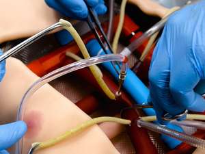 Simulateur de réalité virtuelle Bakulev CPBSS pour la formation scientifique médicale avec mannequin - Product Image 6