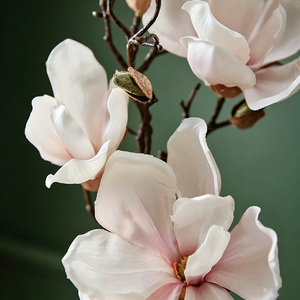 Difusor <span class=keywords><strong>de</strong></span> Aroma Magnolia Willow - Altas Valoraciones <span class=keywords><strong>de</strong></span> Clientes, Favorito <span class=keywords><strong>de</strong></span> Compra Recurrente, Fragancia Duradera para Aromaterapia - Product Image 2