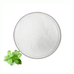 ISO Food Grade Peppermint Extract 99% High Quality Peppermint Extract Powder