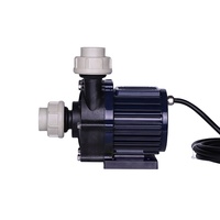 Melampaui pompa pendorong magnetis DC frekuensi variabel TDM Motor elektrik 12V 48V pompa sentrifugal untuk industri kimia