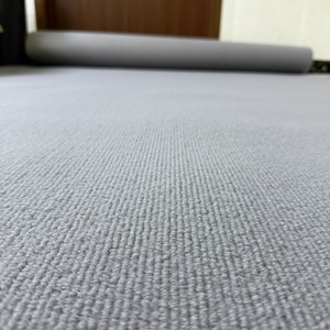 <span class=keywords><strong>Tapis</strong></span> gris résistant aux taches, antidérapant, durable, facile à <span class=keywords><strong>nettoyer</strong></span>, pour salon, chambre, bureau, hôtel, espaces à fort trafic - Product Image 1