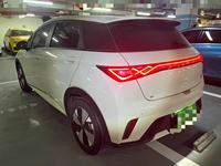 BYD Dolphin 2023-2026 Full Fitur, Harga Terjangkau Kondisi Prima Mobil Bekas Energi Baru yang Bagus untuk Perjalanan Sehari-hari