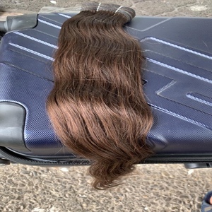 Jai Ambey exporte des extensions de cheveux humains indiens bruts du Temple du Sud 100 grammes faisceaux complets double extrémités de cheveux étirés - Product Image 1