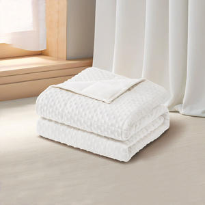 毛绒重力毯双面设计天鹅绒白色超柔软安全舒适压力泡沫重力毯 - Product Image 1