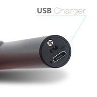 Briquet électrique à arc coupe-vent sans flamme Usb rechargeable double interrupteur de sécurité Briquet électrique à bougie Plasma