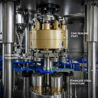 Machine de remplissage et de scellage automatique de canettes pour bière, jus, boissons gazeuses et cocktails W016, 6000CPH 15000CPH, ligne de production de canettes