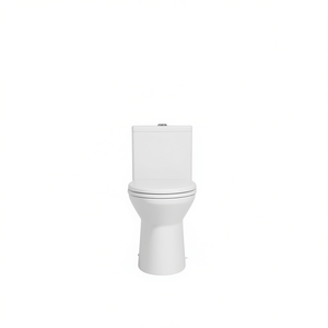 WC monobloc en céramique 1,1 GPF à double chasse, hauteur confort, à poser au sol, cuvette allongée, blanc, avec abattant à fermeture douce - Product Image 1