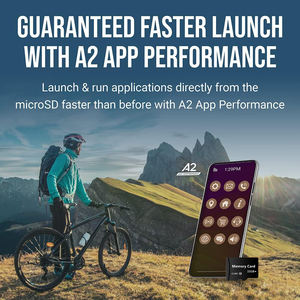 Scheda di Memoria 128GB 32GB 64GB 256GB 16G 400GB <span class=keywords><strong>SD</strong></span>/TF, Scheda Flash Mini <span class=keywords><strong>SD</strong></span> <span class=keywords><strong>32</strong></span> 64 128 GB TF - Product Image 6