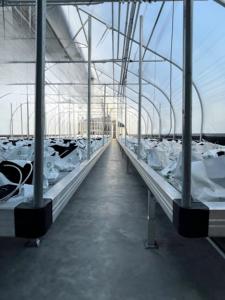 Plateaux de culture 4X8 Farming Ebb and Flow Bancs roulants Flood and <span class=keywords><strong>Drain</strong></span> 2X4 Tables Système de culture hydroponique Plateau de culture - Product Image 2