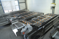 Continue bubbelwasmachine voor groenten en fruit, multifunctionele verwerkingsapparatuur