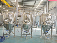 Fermenteur/Réservoir de stockage en acier inoxydable pour unitanks de bière avec pierre de carbonatation
