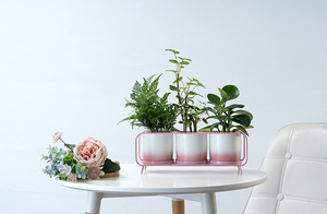 Dropshipping fioriere in ceramica vasi da <span class=keywords><strong>fiori</strong></span> in ceramica da <span class=keywords><strong>disegno</strong></span> a mano con foro di drenaggio supporto rettangolare in ferro di colore sfumato per la casa - Product Image 3