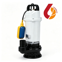 Pompe à eau solaire submersible flottante sans balais QDX DC avec interrupteur à flotteur automatique pour système d'alimentation en eau solaire hors réseau