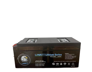 Headway fabrika 48V 60Ah Li-ion pil paketi Lifepo4 lityum LFP anot malzeme ile şarj edilebilir Golf arabası güç araçları için - Product Image 6