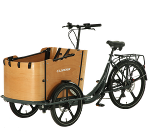 4 posti per bambini elettrico Cargo Bike power assist per adulti triciclo trasporto e spesa di generi alimentari Cargo Bike - Product Image 2