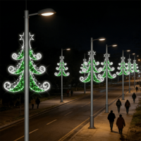 Décoration de festival, Halloween, mariage, éclairage urbain extérieur, IP65 étanche, flocon de neige 2D, motif de poteau LED de Noël, lumières de rue