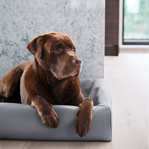 2024 Schlussverkauf! Hochdichtes Speicher-Schaumhundebett, elastisch und bequem, stellt sicher, dass Ihr Haustier eine gute Nacht schlafen bekommt! - Product Image 6