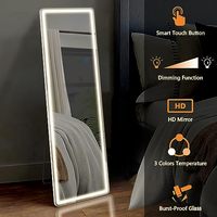 Miroir sur pied de pleine longueur avec cadre fin blanc de 64 x 21 pouces avec lumières LED Miroir en alliage d'aluminium pour salon