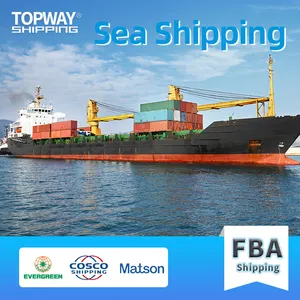 Professional Cheapest sea freight Amazon FBA shiping/DHL/UPS/FEDEX freight forwarder from China to USA UK France Germany Italy C