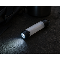 WC-105 Senter LED Mini Isi Ulang dengan Gantungan Kunci, Tahan Air IP20, Jangkauan Sorot 0-200M, 35-100 Lumen, Tekan untuk Menghidupkan, Plastik, untuk Berkemah di Luar Ruangan