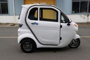 รถยนต์ไฟฟ้า 3 ล้อ สำหรับผู้ใหญ่ 1200W/2500W มินิอี-ไตรไซเคิล 60V58Ah ห้องโดยสารปิด ทนทุกสภาพอากาศ ได้รับการรับรองมาตรฐาน EEC รับน้ำหนักได้ 400 กก. มอเตอร์แบบไร้แปรงถ่าน DC - Product Image 6