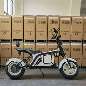 Mükemmel tasarım 1000W Citycoco yetişkin Mini elektrikli Scooter 48V 20Ah lityum popüler tarzı